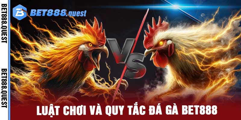 đá gà Bet888